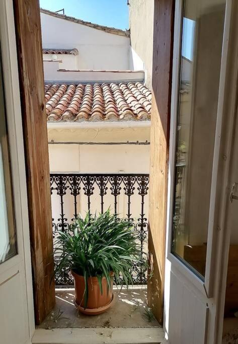 Maison De Village Dans Le Centre Du Vieux Quartier Marseillan (Herault) Exterior foto